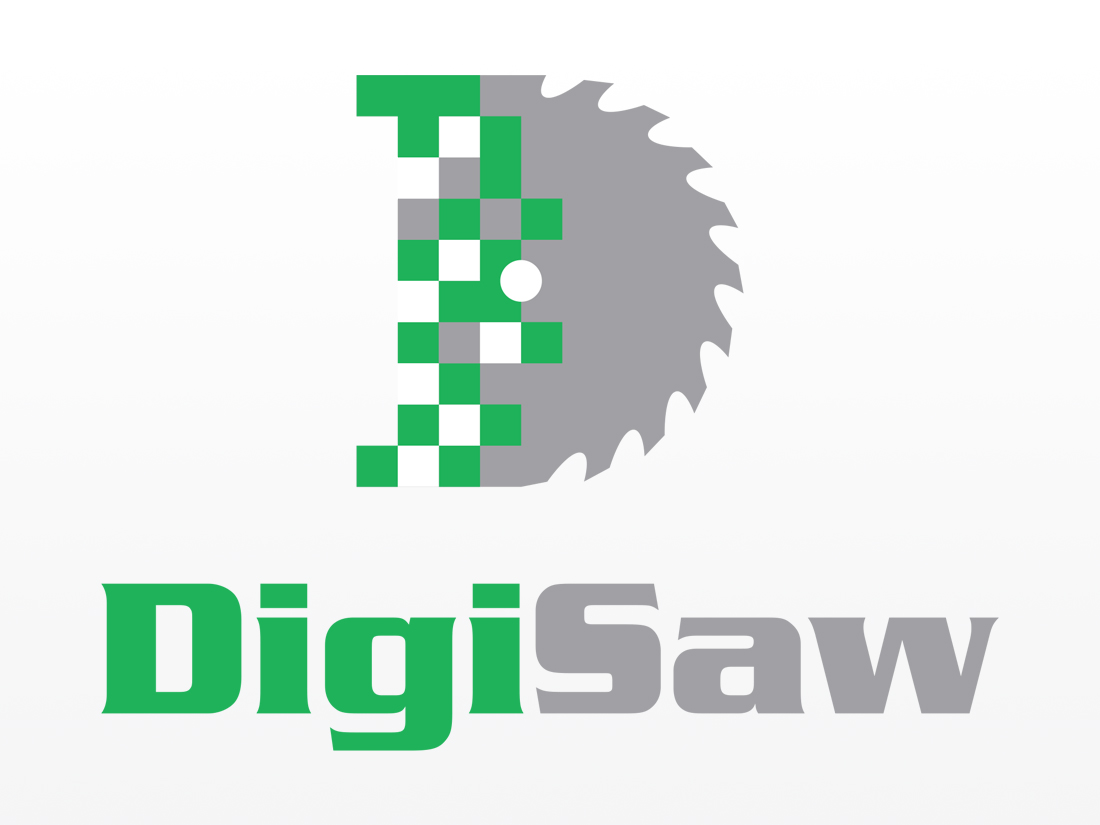 DigiSaw Logo