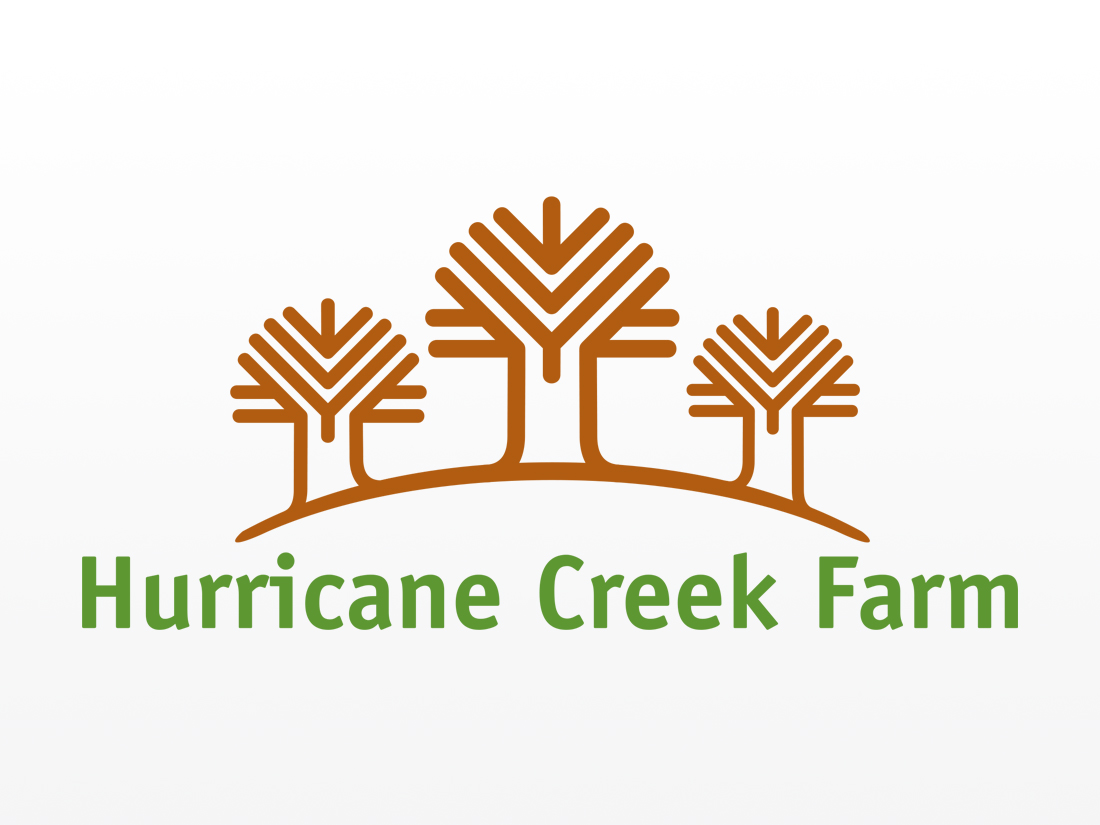 Hurricane Creek Logo